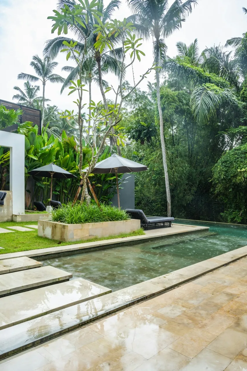 Aura Gardens | Park-Backing Twin Villa